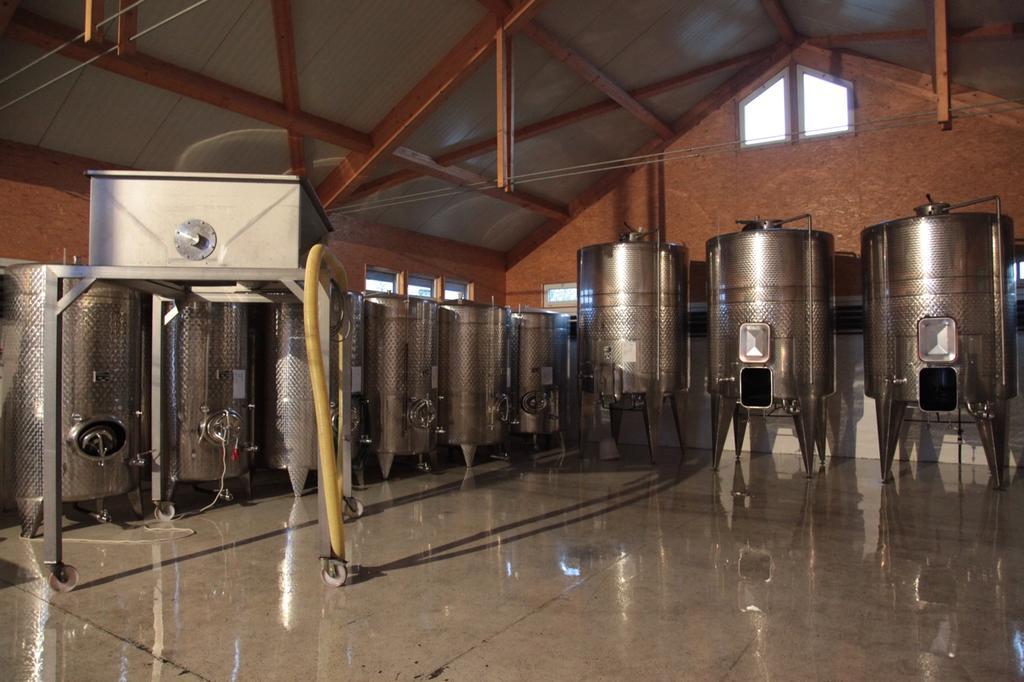 Winzerzimmer - Weingut Tinhof Eisenstadt Dış mekan fotoğraf