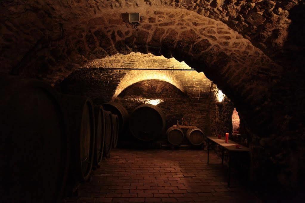 Winzerzimmer - Weingut Tinhof Eisenstadt Dış mekan fotoğraf